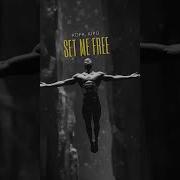 Set Me Free Kofa