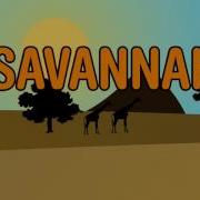 Diviners Savannah