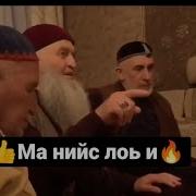 Муса Дала Декъал Войл Хьо