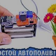 Bit Sistem На Растение Руки