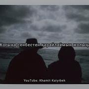 Айдынга Акку Каз Оралды