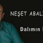 Dalımın Inciri