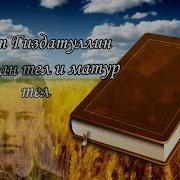 Мират Гиздатуллин Туган Тел