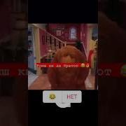 Афанди Точики