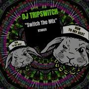 Dj Tripswitch Shine Your Light Original Mix