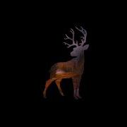 Deer Hunter 2016 Events Ost