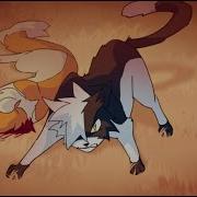 Swiftpaw Amv In The End