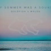 Goldfish Summer Was