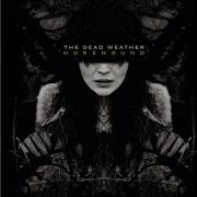 The Dead Weather Rocking Horse