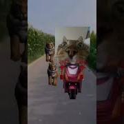 Здравствуйте Можно У Вас Покакать