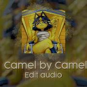 Camel By Camel Edit Audio Ankha Zone