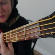 Gold Strings On Bass