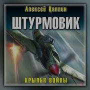 Цаплин Штурмовик 3