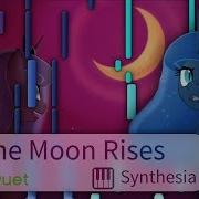 Mlp Synthesia