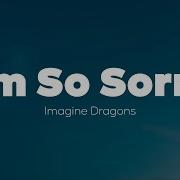 I M So Sorry Imagine Dragons