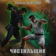 Щепетнов Чистильщик