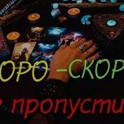 Анастасия Таро Новый Путь