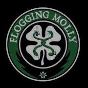 Flogging Molly Devils Dance Floor