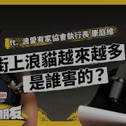 去找寻你的爱 七七