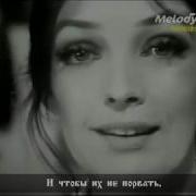 Мари Лафоре Иван Борис И Я