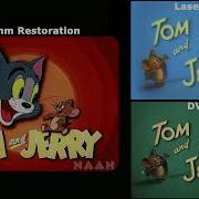 Tom And Jerry Casanova Cat 35Mm 1951