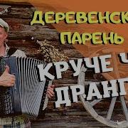 Баянист Андрей Кир