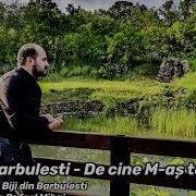 Biji Din Barbulesti De Cine M As Teme