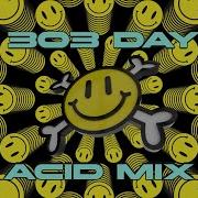 Acid Techno Mix 2024 303 Day Special