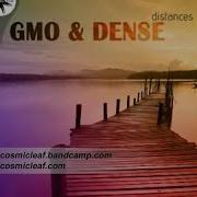 Gmo Dense 2023