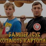 Бампер И Сус Копают Картошку