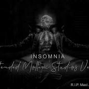 Insomnia Mollen Studios