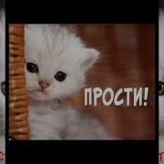 Песня День Прощения