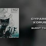 Burnt Tapes Koruse