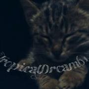 Outside Deeperise And Tolga Remix Tiktok