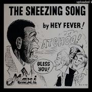 Hey Fever The Sneezing Song Sing It Yourself Version