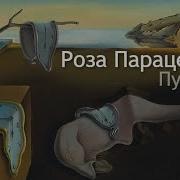 Роза Парацельса Пустыня