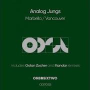 Analog Jungs Marbella Original Mix