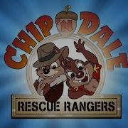 Chip N Dale Czech Intro