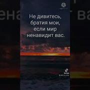 Насеноваледеньнасеноваленочьсергейпаради