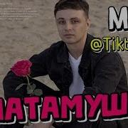 Мэвл Патамушка Tiktok