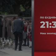 Zooпарк Анонсы 2014