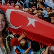 Музыка Из Фильма Невеста Из Бейрута 68 Серия