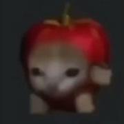 Apple Cat 1 Hour