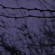 So Cold Ben Cocks Slowed And Reverb