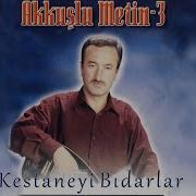 Kestaneyi