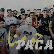 Paca