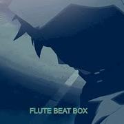 Beat Box Flute Altaj Flute Recorder Beatbox 1 Hour