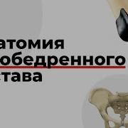 Тазобедренного