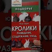 Книга Про Кроликов