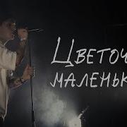 Mzlf Маленький Цветочек